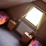 Haus Tadeus 아파트 Altenberg