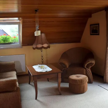Haus Tadeus 아파트 Altenberg