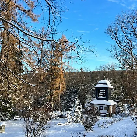 Apartment Haus Tadeus Altenberg (Erzgebirge)